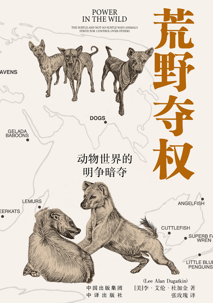 图书封面
