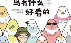 鸟有什么好看的