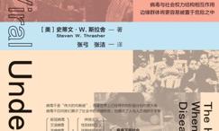 病毒下层社会:疾病与不平等在美国的碰撞