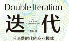 双重迭代:后消费时代的商业模式