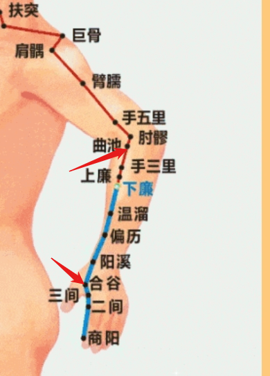 deepseek对面部红斑的中医辨证分析